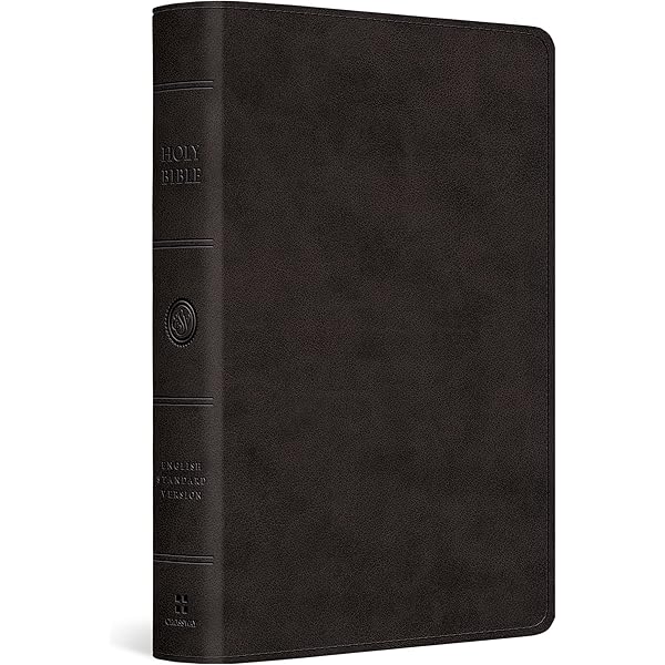 洋書 The HOLY BIBLE English standard version The Holy Bible: English Standard Version, Concordia Deluxe